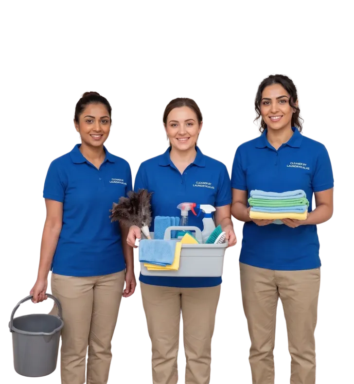 How it works premium garment care process