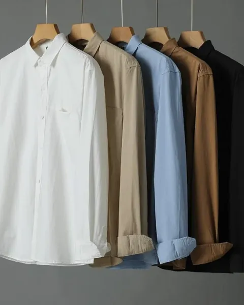 Freshly pressed shirts and blouses ready for professional dry cleaning service