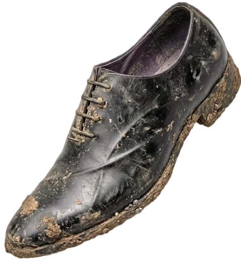 Formal Shoes - Shoe Care in Mangrove Village
